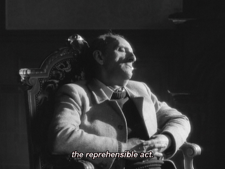 The Hypothesis of the Stolen Painting (L’Hypothèse du tableau volé, Raúl  Ruiz, 1979)