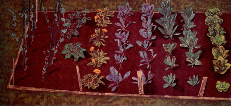 Winter Vegetable Bed, Mother of November (1990)